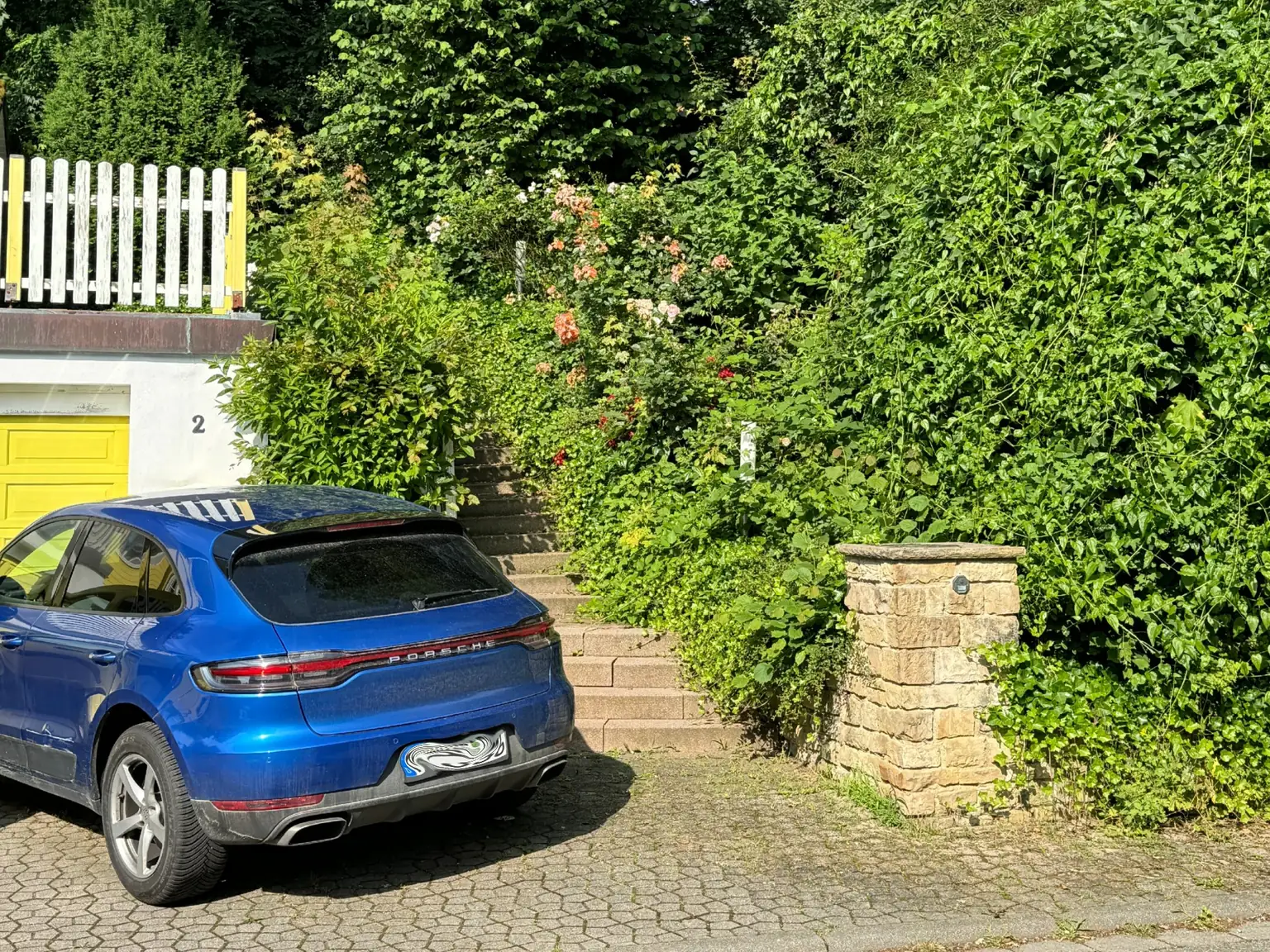 Zugewachsener Hangbereich mit überwucherten Hecken neben einer Hofeinfahrt